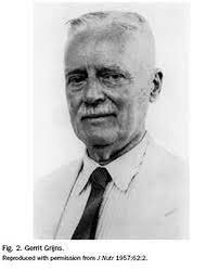 1906 descubrimiento de las vitaminas