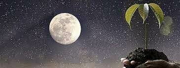 5.	La teoría cósmica o sideral