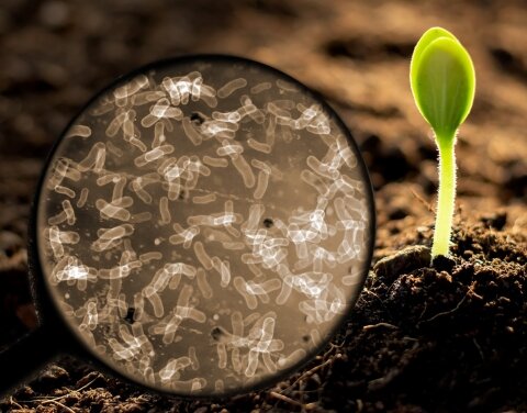 7.	LA TEORÍA MICROBIANA SIN PASTEUR Y KOCH