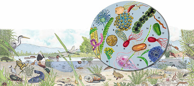 8.	OTRAS NOCIONES DE CAUSAS.