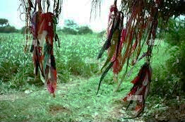 Enfermedad y la superstición.