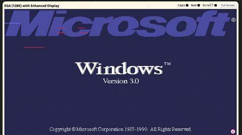 WINDOWS 3.0