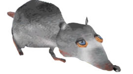Timeline: The Rats