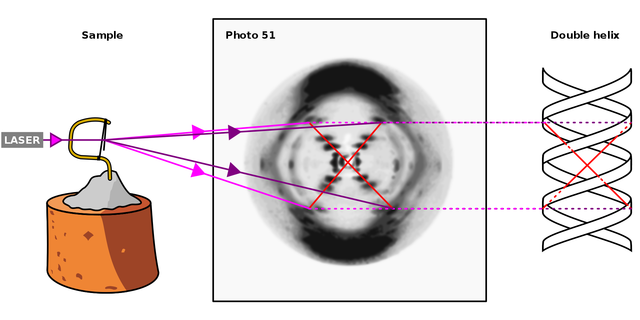 DNA with Double Helix Part 1