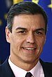 Pedro Sanchez (PSOE)