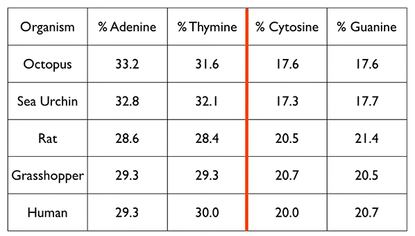 Counting Nucleobases