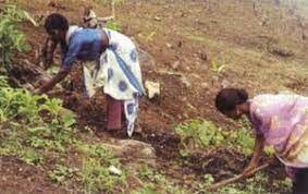 2.	La enfermedad y la religión