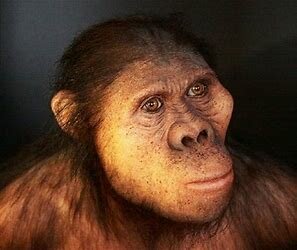 Aparición del Australopithecus