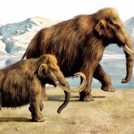 Aparición de los mamíferos