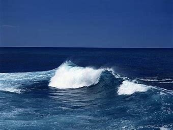 La vida coloniza las aguas continentales