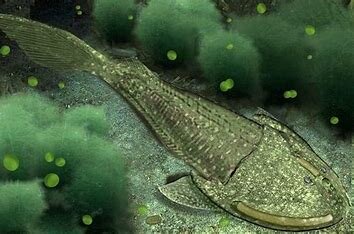 Aparición de los peces modernos