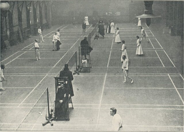 Badminton Popularity