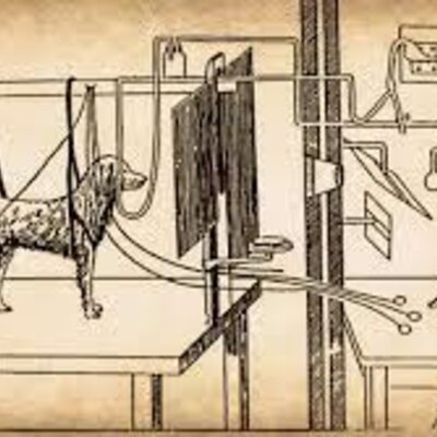 Timeline: Evolución del conductismo y su relación sobre los procesos cognitivos