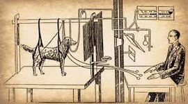 Timeline: Evolución del conductismo y su relación sobre los procesos cognitivos