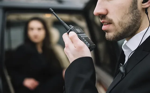 Meta De Seguridad Personal