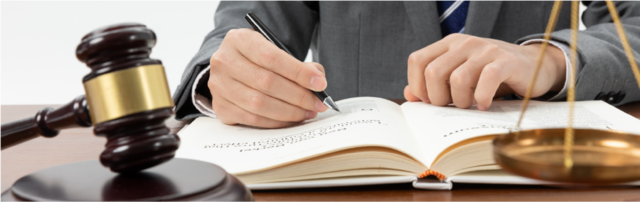 Meta De Gobernabilidad