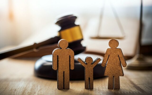 Meta De Derechos Humanos