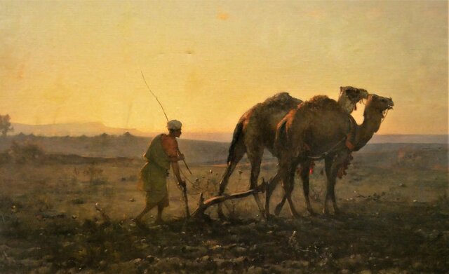 El arado