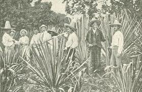 Expansión del capitalismo