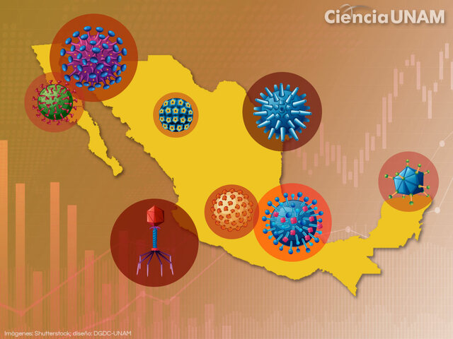 Definición de epidemiología
