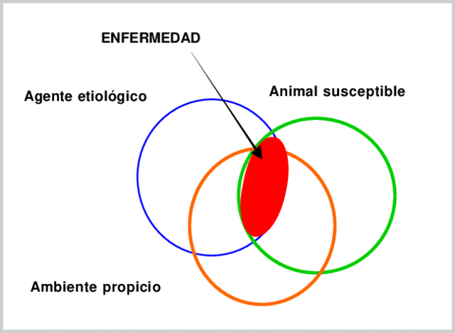 Multicausal