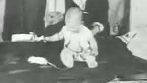 Experimento con el pequeño Albert