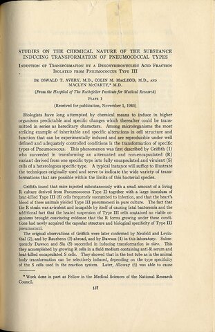 Studies on the Chemical Nature