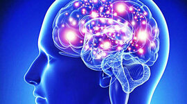 Timeline: Antecedentes de la Neuriciencia del Comportamiento