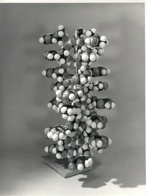 Triple Helix (1952)