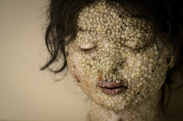 L'innesto del Vaiuolo