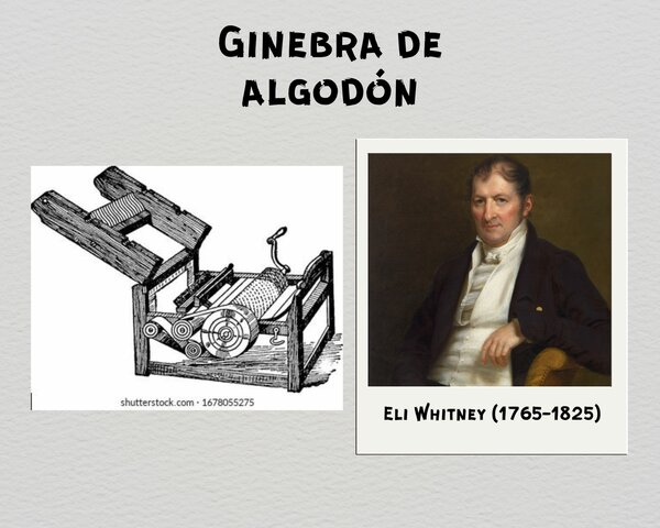 Eli Whitney inventó la Ginebra de algodón