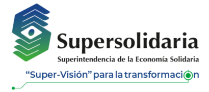 Composición de la economía solidaria
