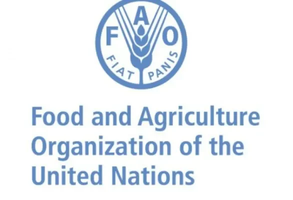 Creacion de la FAO