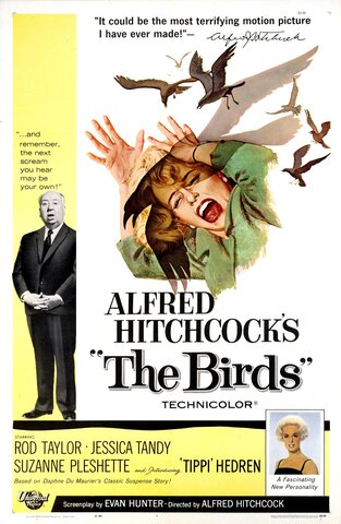 Los pájaros, Hitchcock (cine)