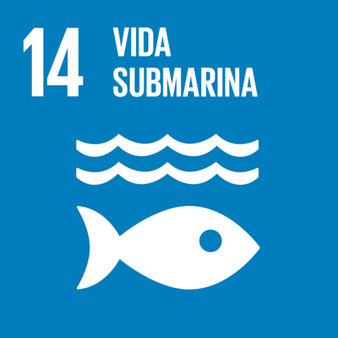 14 Vida Submarina (ODS)