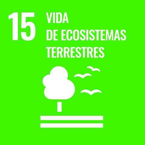 15 Vida de Ecosistemas Terrestres (ODS)