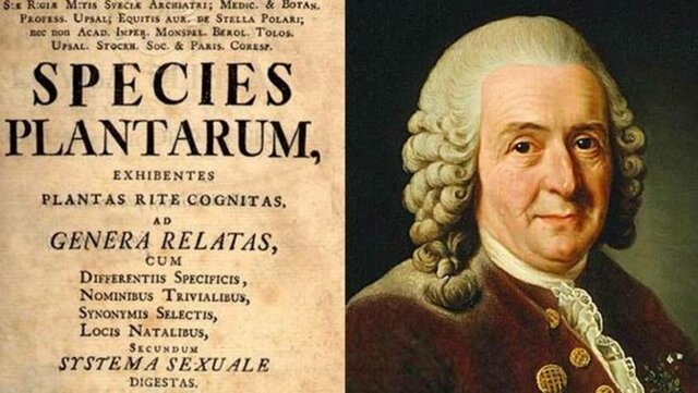 Carl von Linné  Creador de los sistemas modernos de clasificación de plantas y animales