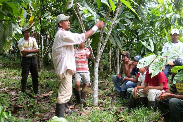 Parroquia Febres Cordero