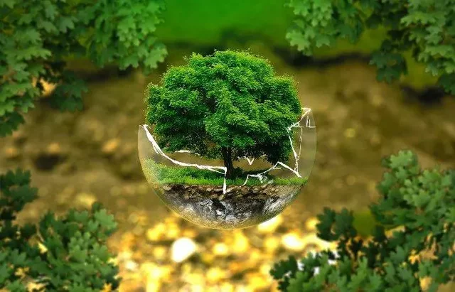 Ecología como una ciencia importante