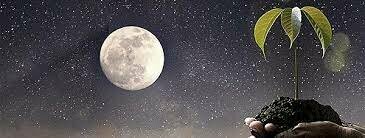 La teoría cósmica y sideral