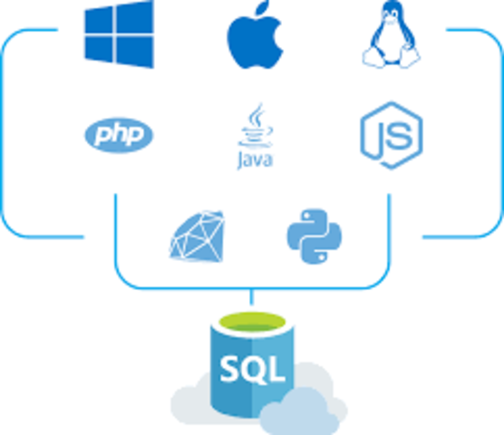 Se crea el lenguaje SQL