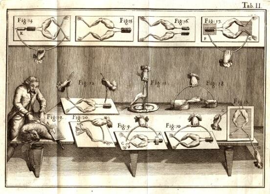 (1780 – 1791) Autor: Luigi Galvani  En la Edad Moderna