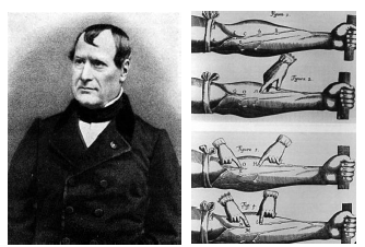 1835 - 1839) Autor: Kaspar Spurzheim - Stanley Grimes Discípulo de Gall