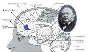 (1794 – 1867) Autora: Marie Jean Pierre Flourens