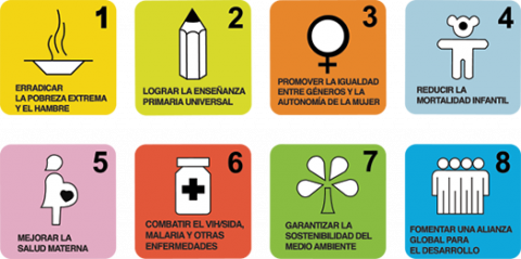 Objetivos de Desarrollo del Milenio (ODM)
