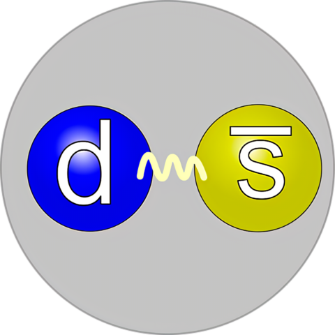 Descubrimiento del Pión