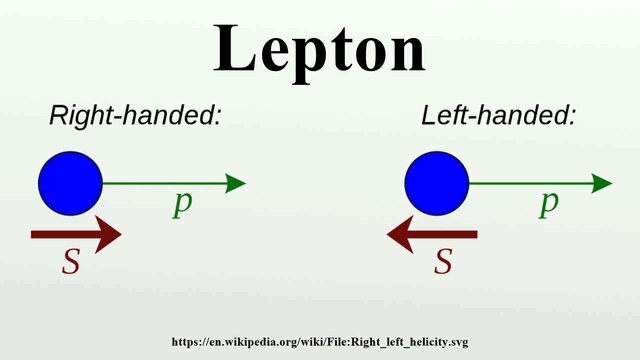 Introducción del Leptón