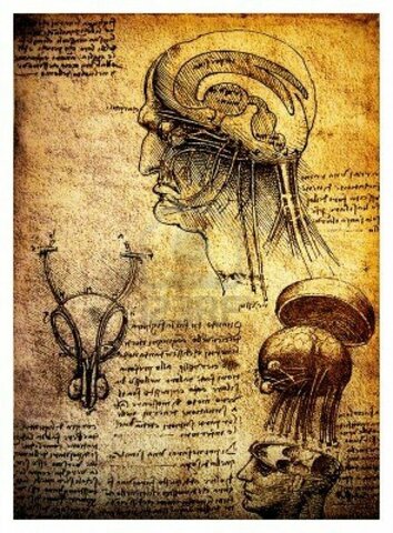 (1452 – 1519 d.C.) Autor: Leonardo da Vinci