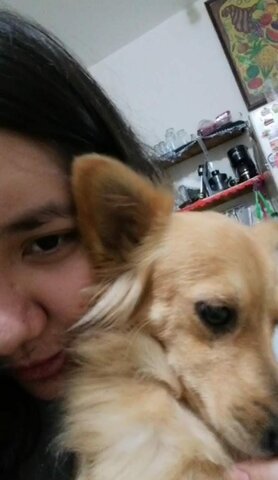 EL FINAL DE DAI DESPUÉS DE LOS 6 MESES AGÓNICOS