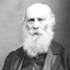 George Johnstone Stoney (1826 – 1911)